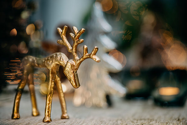 PURS_Detail_Winter_web_128